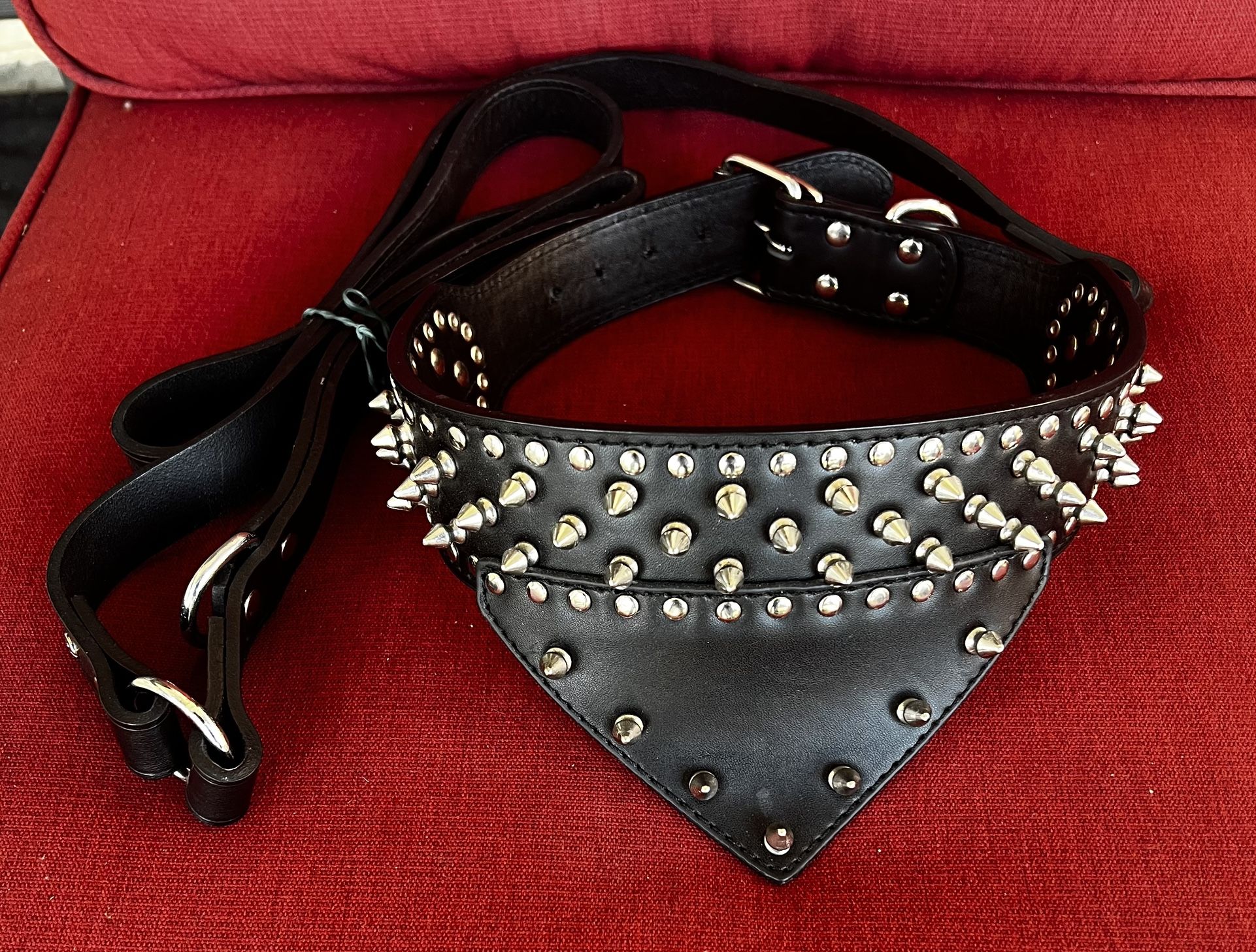 Leather Spike Studded Dog Collar and Leash