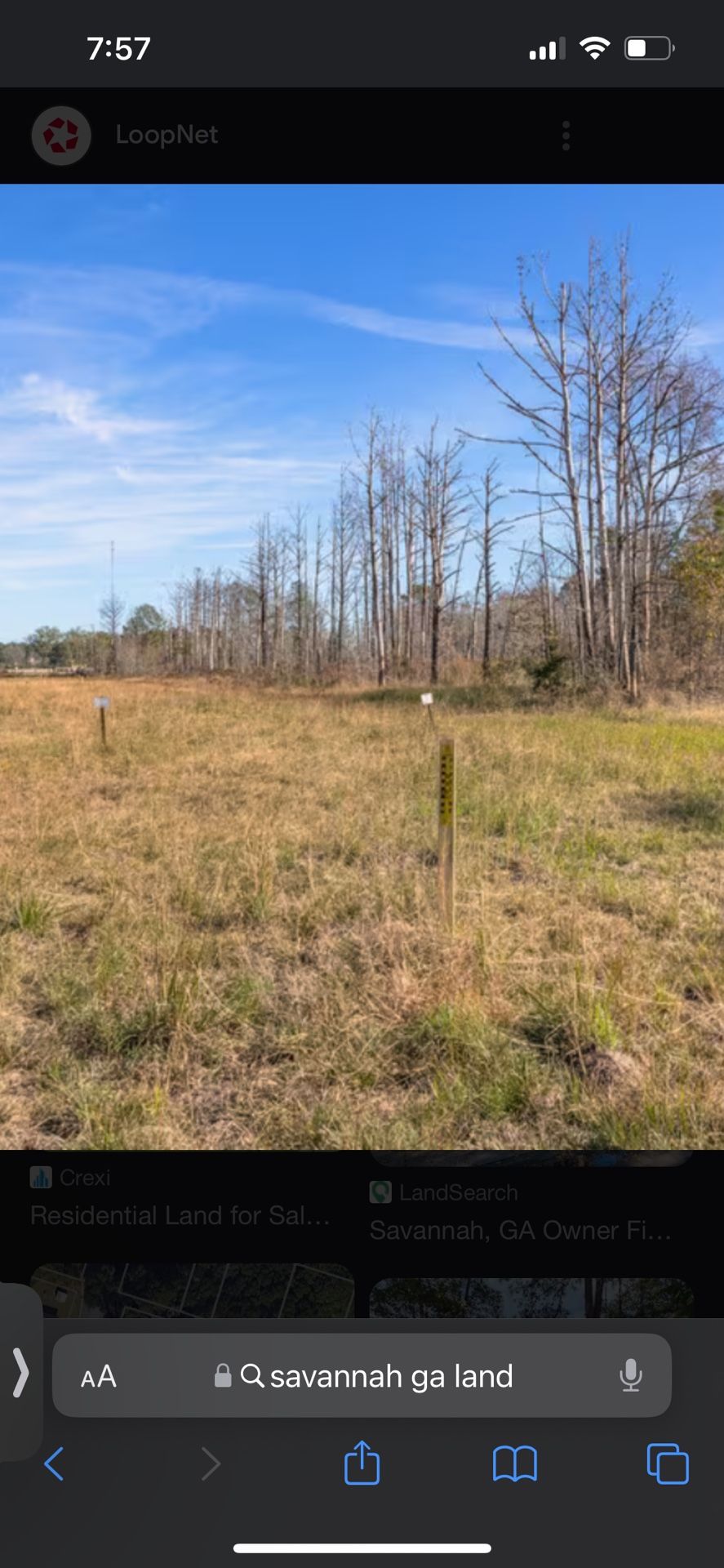 25 Acres In Savannah Ga