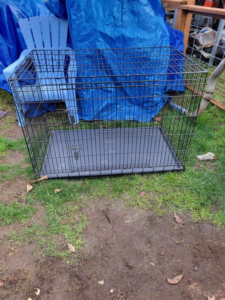 XXL Dog Kennel