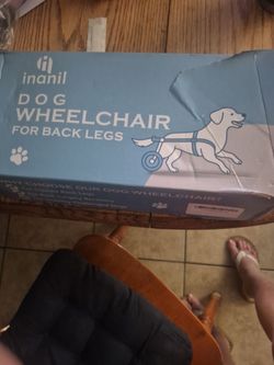 Doggy wheelchair