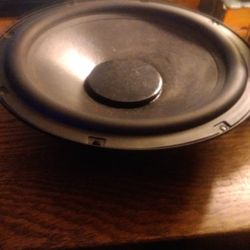 Polk Audio Passive Radiator 