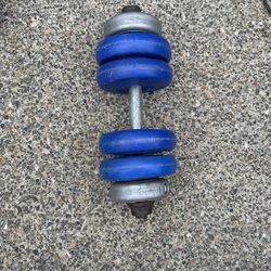 30lb Barbell