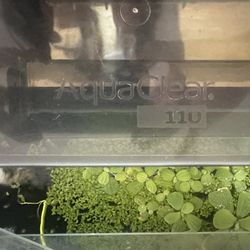 Fish Tank/ Aquarium 