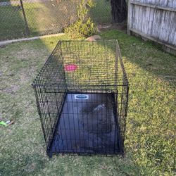 Large Dog Kennel