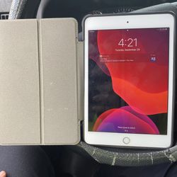 iPad mini 4 16GB WiFi/LTE model