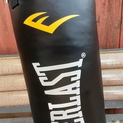 Everlast Pushing Bag