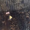 Inland Empire Hair Vendor
