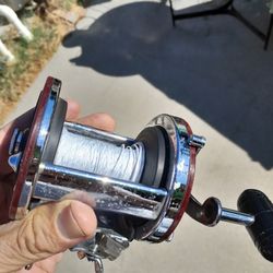 Penn Fishing Reel Jigmaster
