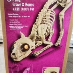  Halloween decoration