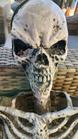 5ft Skeleton with Right Hand Missing