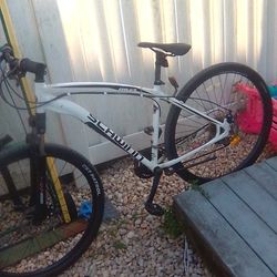 Schwinn River