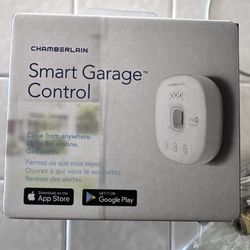 Smart Garage Control 