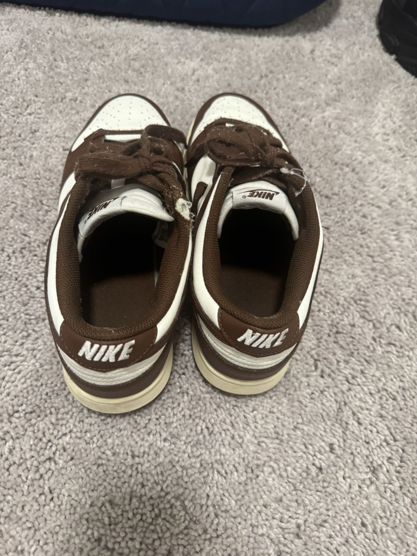 Nike Dunks Cream And Brown