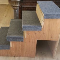 Dog House With Stairs 