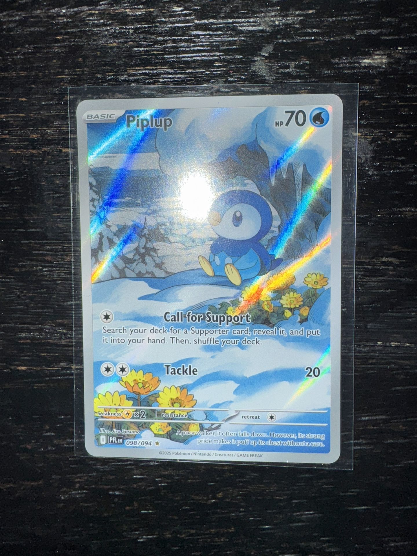 35$$ Piplup IR
