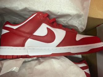 Brand new Nike men’s shoes
