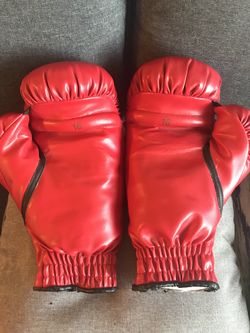 Everlast Boxing Gloves