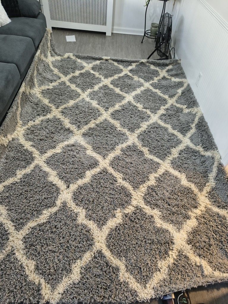 6.7 'X 9.3 ' Shag Area Rug