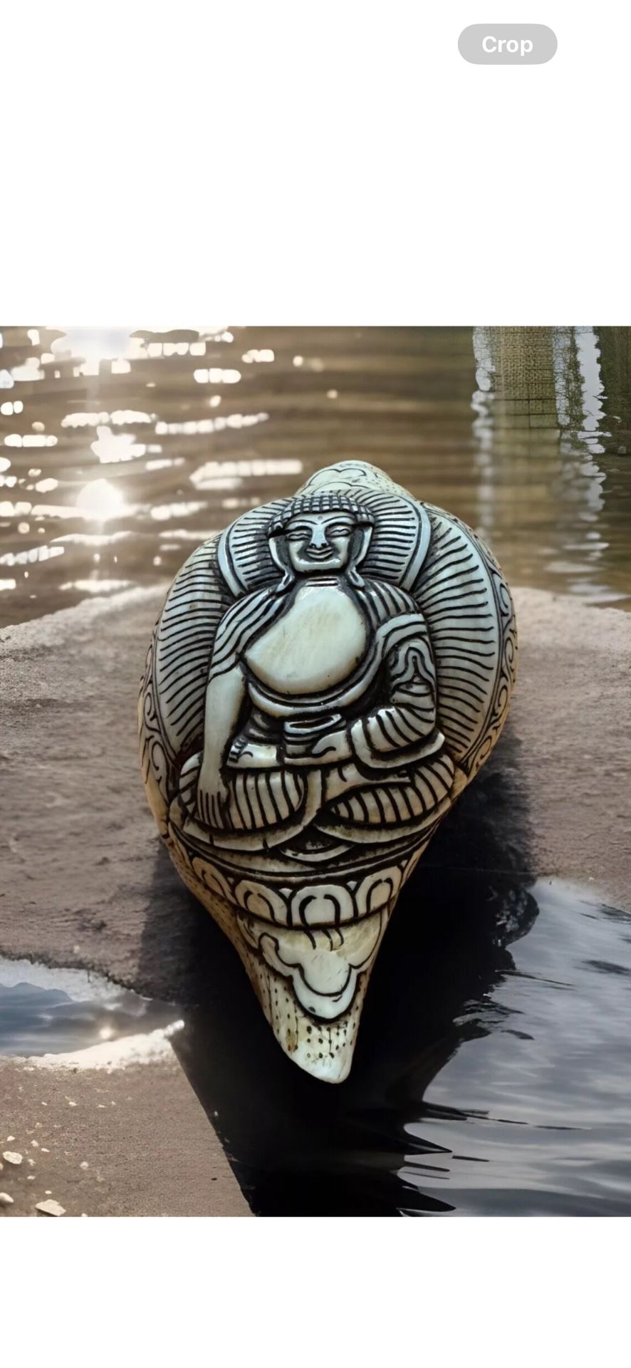 Vintage & Hand Carved Buddha Meditating Over Clouds Tibetan Conch,Blow Horn,Trumpet For Positive Energy 6”in & 1.4lbs