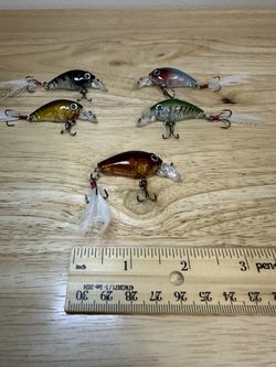 🎣 Set of 5 Minnow Fishing Lures – Premium Design (5 Colors)