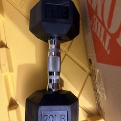 Brand New Dumb Bella