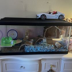 Tank 40 Gallons