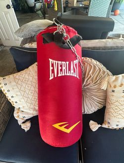 Ever last Punching Bag ( like New )