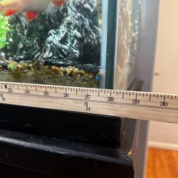Aquarium 