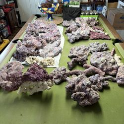 Saltwater Fish Aquarium, Rocks