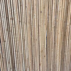 bamboo backdrop 7 feet 