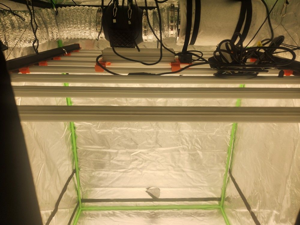 Spiderfarmer And 5x5 Grow Tent