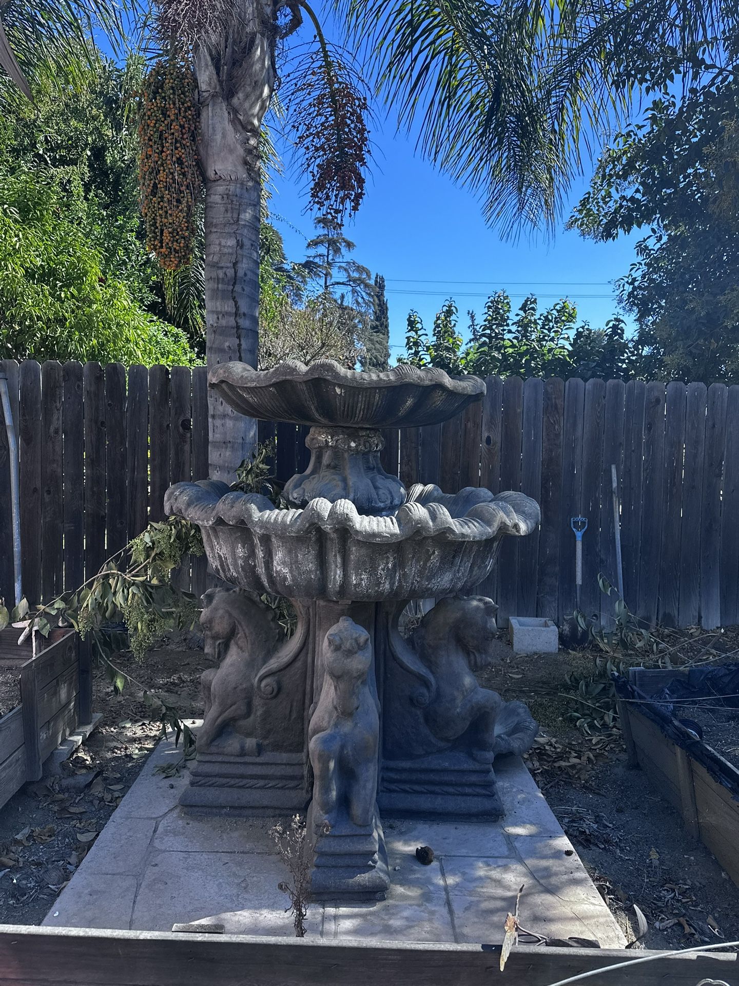 Free Fountain 