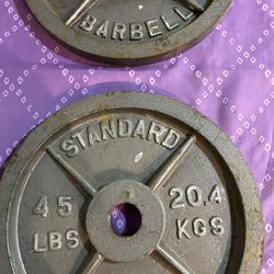 2-45lbs Standard Barbell Olympics