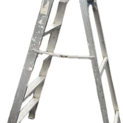 6 Foot Ladder