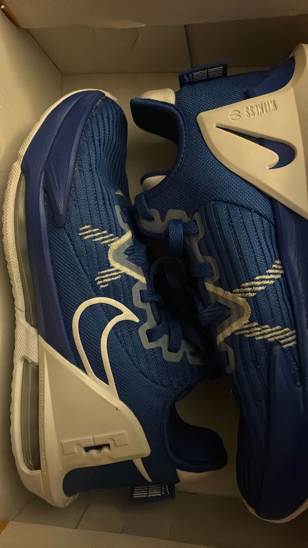 Nike LEBRON WITNESS VI TB Sz. 6.5