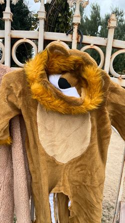 Halloween costume.