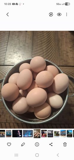 Eggs