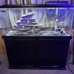 55 Gallon Aquarium