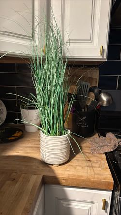 Fake Plant