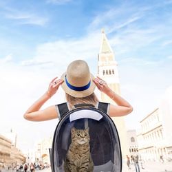 Brand New Pet Backpack