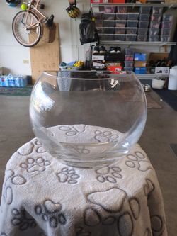 Glass Terrarium