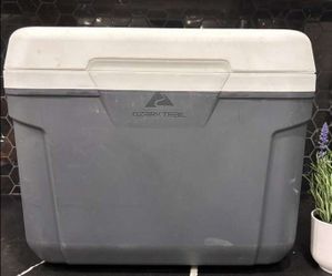 Cooler ice chest