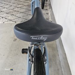 Tuesday June 7 beach cruiser