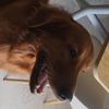 Mateo