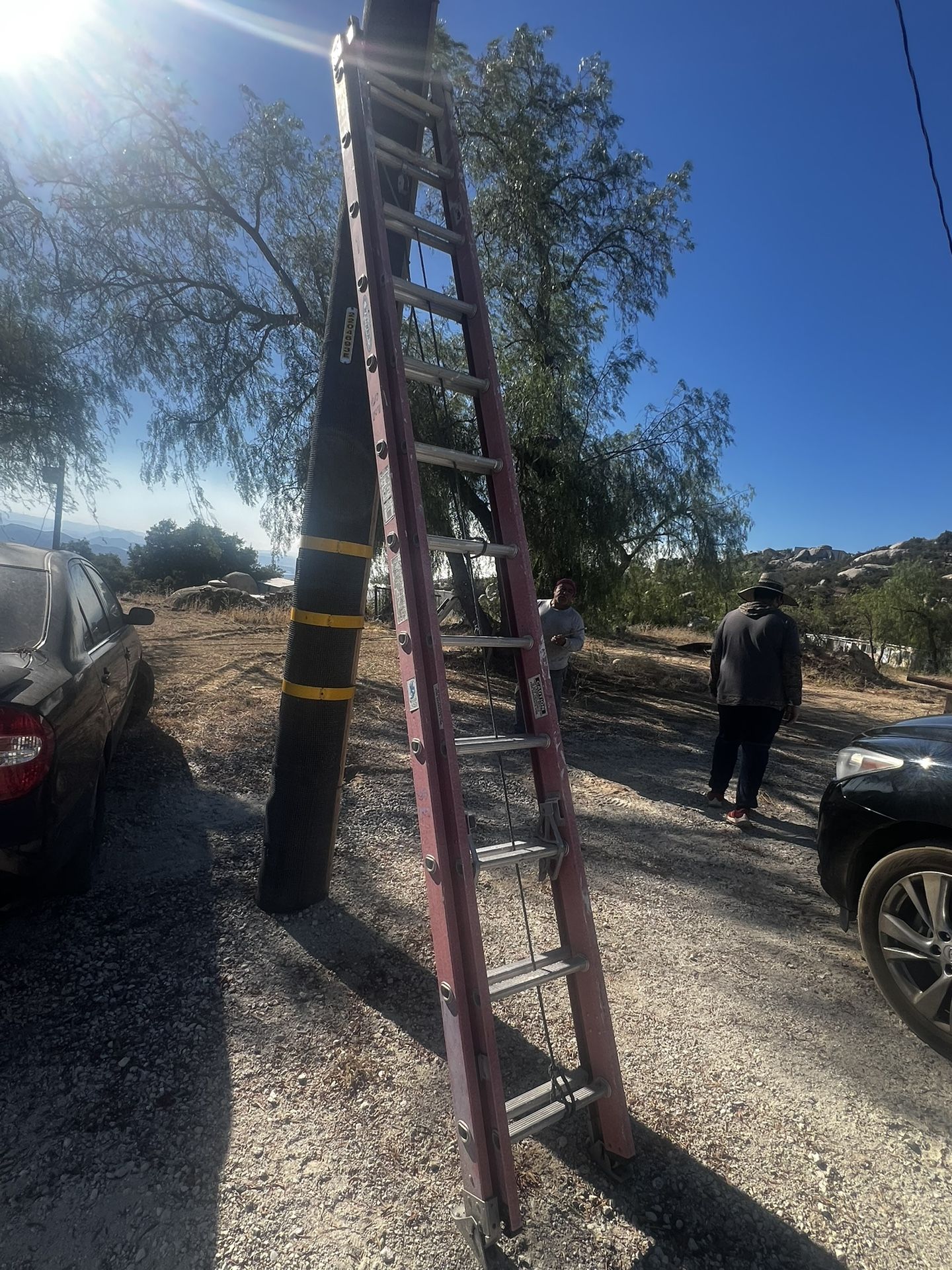 12 ft ladder