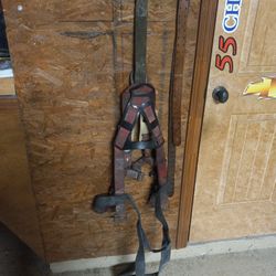 Climbing Pole Harness