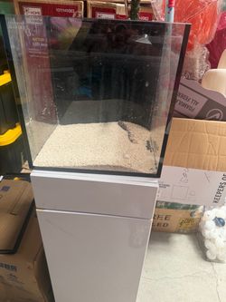 15 gallon salt water tank