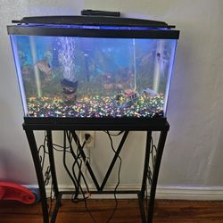 10 Gallon Fish Tank 