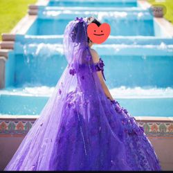Quinceanera dress -sweet 15 dress