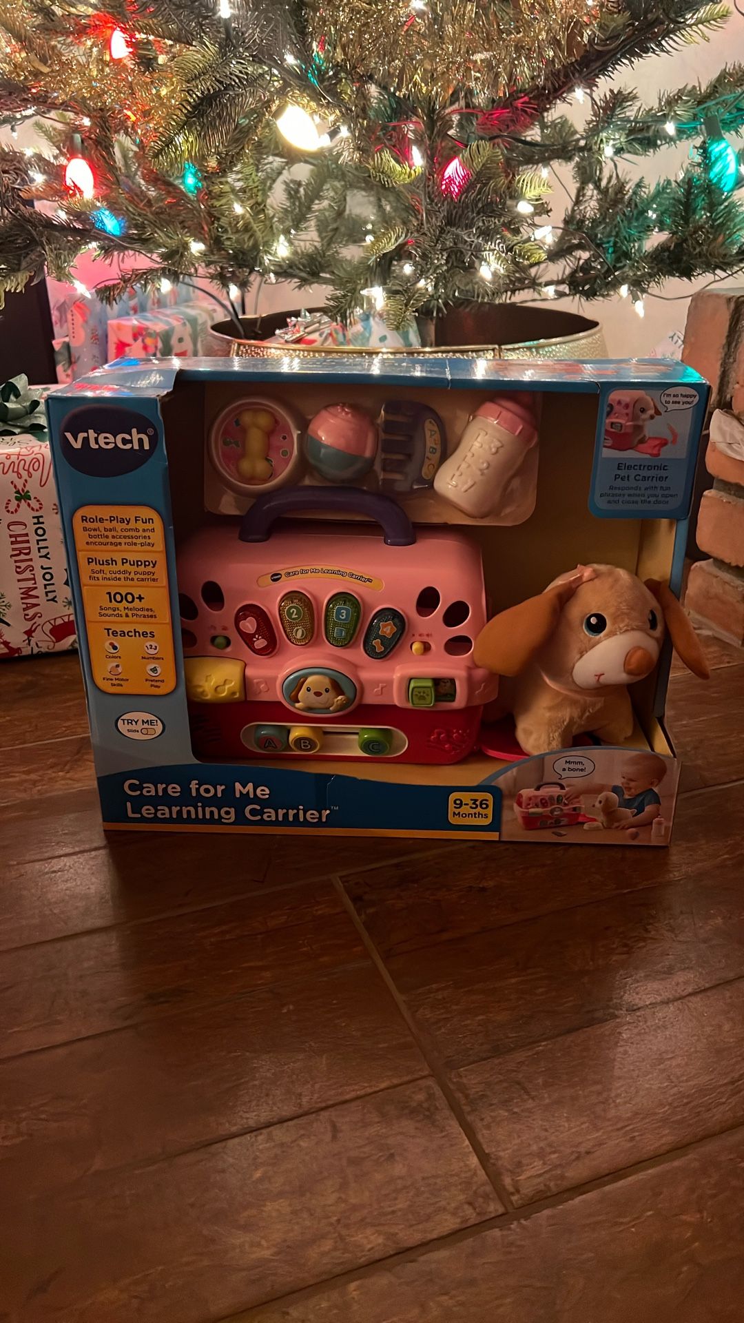 Vtech Care For Me Learning Carrier 